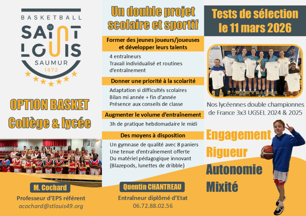 Brochure option basket