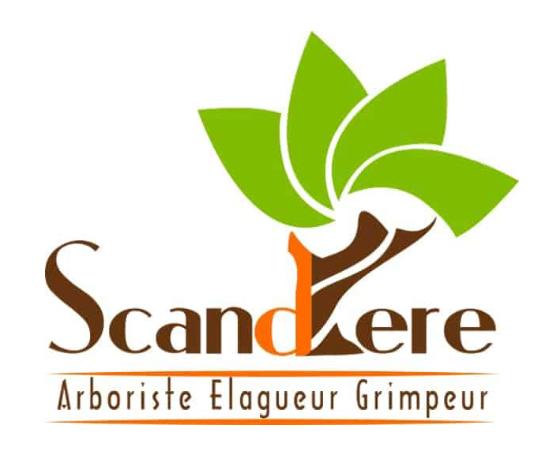 SCANDERE